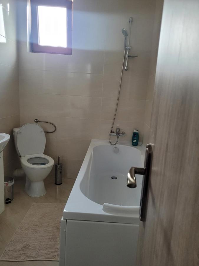 Amparo Daire Satu Mare Dış mekan fotoğraf