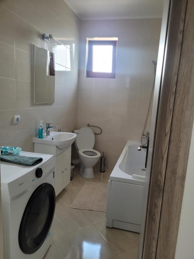 Amparo Daire Satu Mare Dış mekan fotoğraf