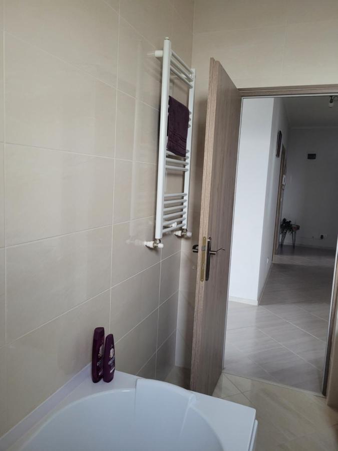 Amparo Daire Satu Mare Dış mekan fotoğraf