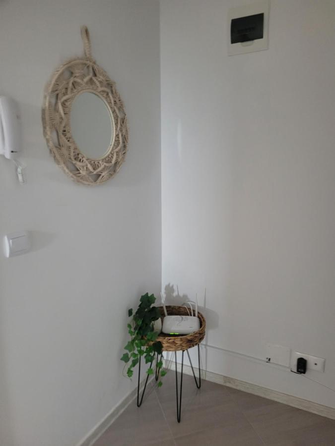 Amparo Daire Satu Mare Dış mekan fotoğraf